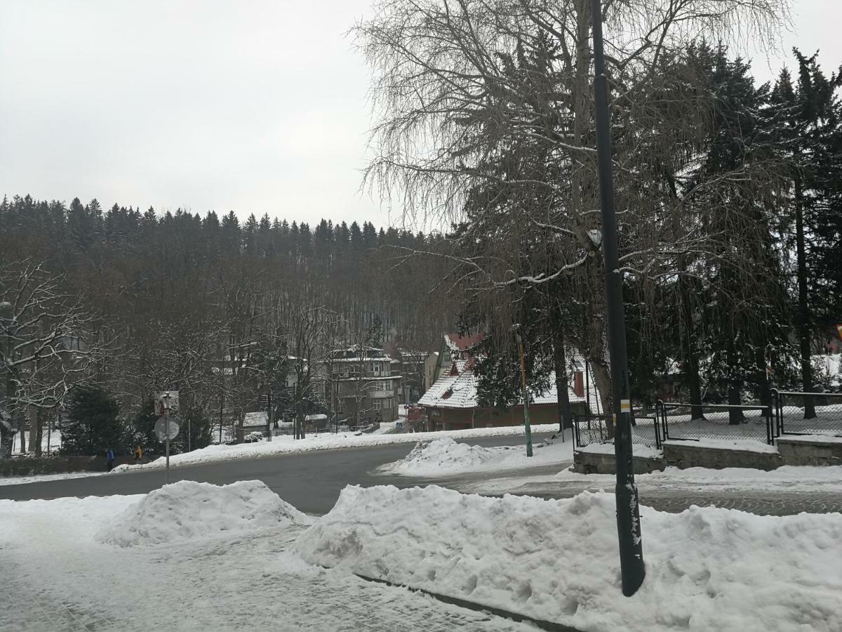 Apartament Parkowy Duszniki Zdroj Bagian luar foto